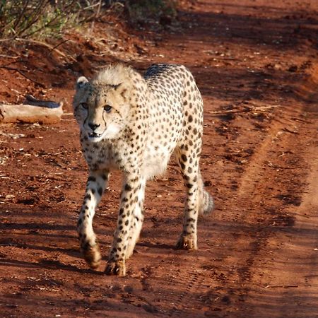 Kgorogoro Lodge Pilanesberg Exteriér fotografie