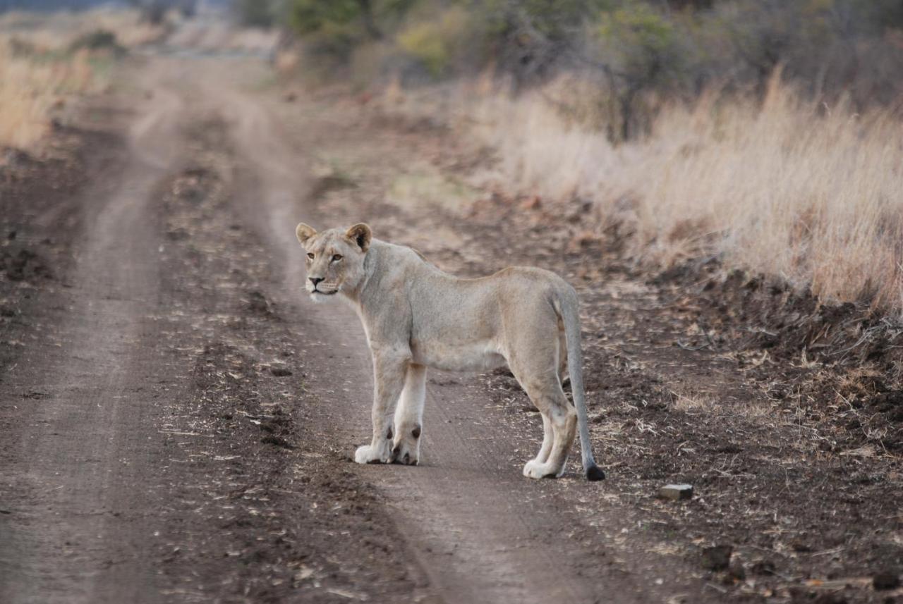 Kgorogoro Lodge Pilanesberg Exteriér fotografie